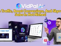 VidPalAI Review